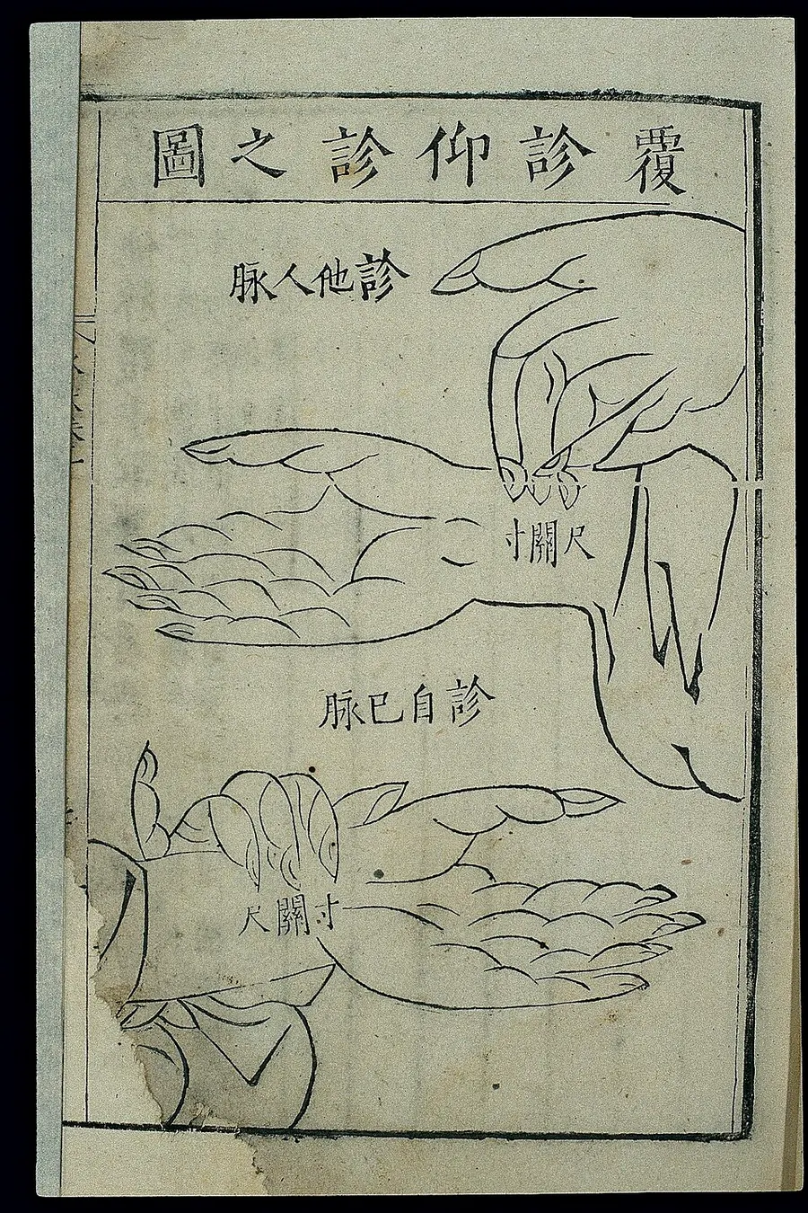Wang Ju — heritage master portrait